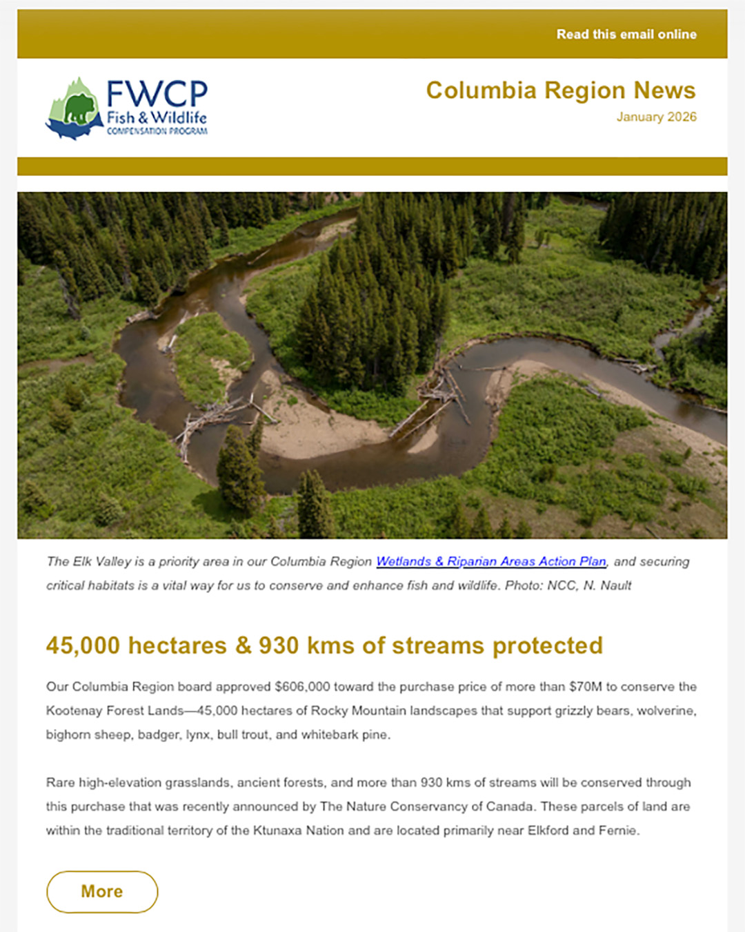 THUMB_COL_Jan_26 E-letter.jpg