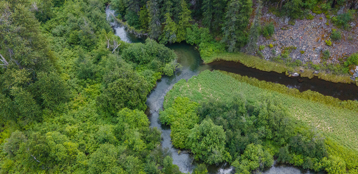 DESK-river-and-riparian-forest-Gates-Creek_Fernando-Lessa.jpg
