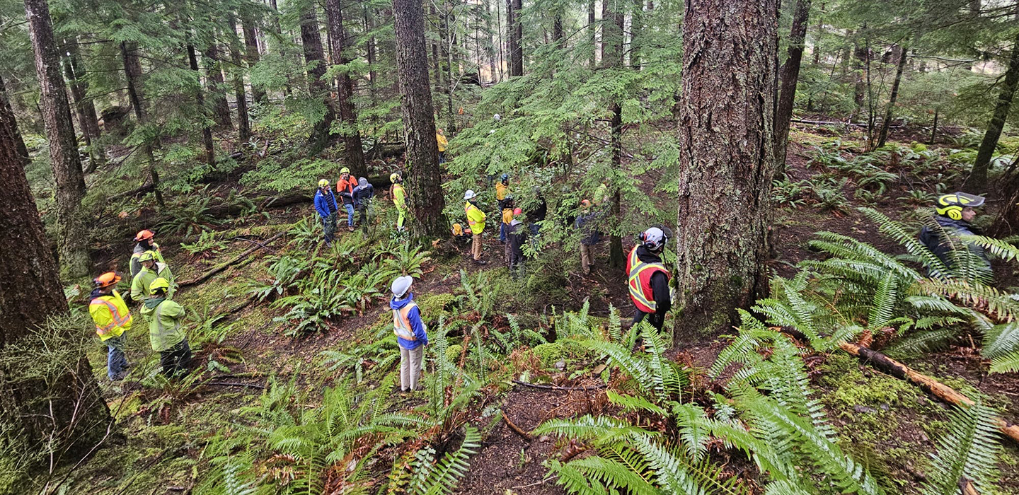 DESK_COA_CEG_Wildlife_trees_group-from-above.jpg