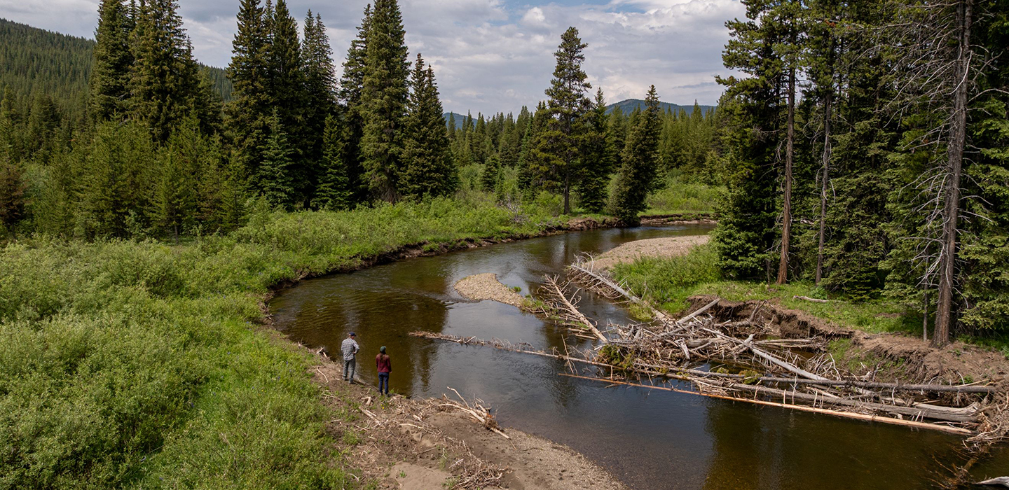 DESK_COL_F26_4372_NCC_Kootenay_Forest_Lands_Flathead-4.jpg