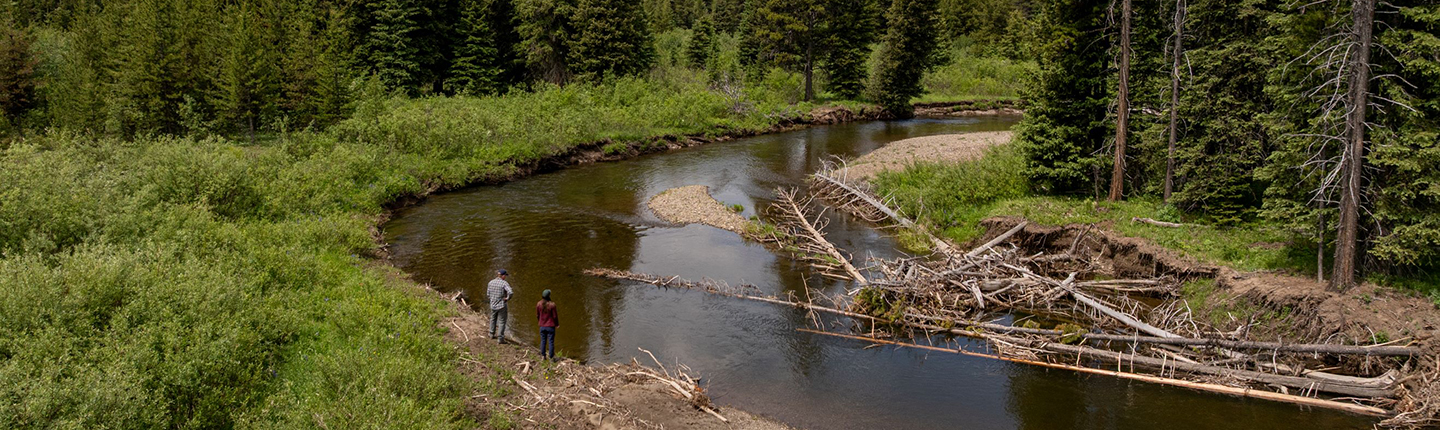 Two people standing next to a river
