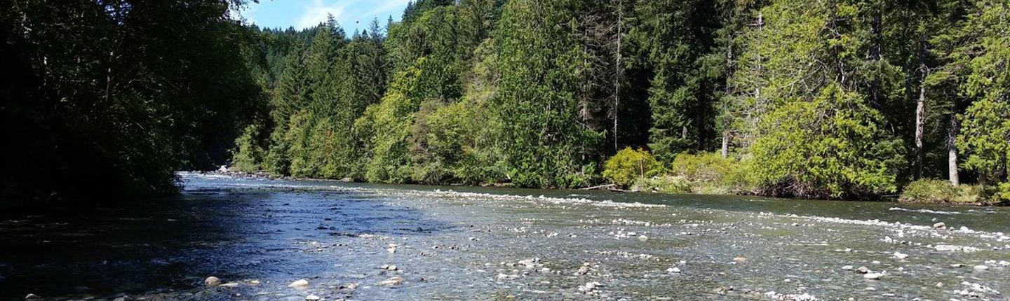 POST-Campbell-River-Campbell-River-Salmon-Foundation.jpg