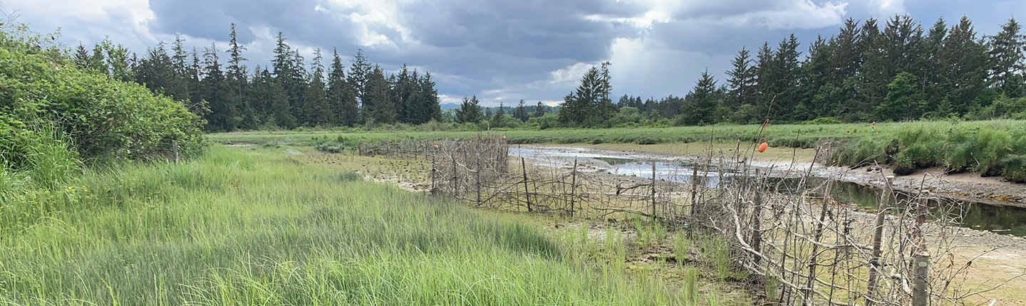 POST-Nunns-Creek-eco-cultural-Photo-Tim-Clermont.jpg