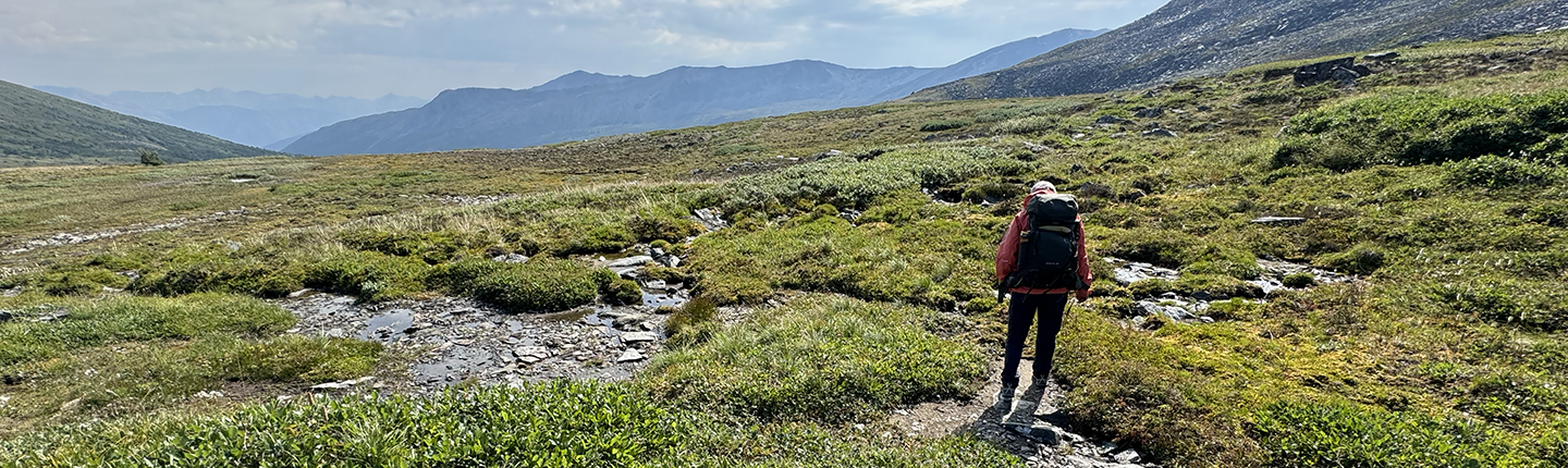 POST-Herbarium-2024-alpine-fieldwork-B.-Collis.jpg