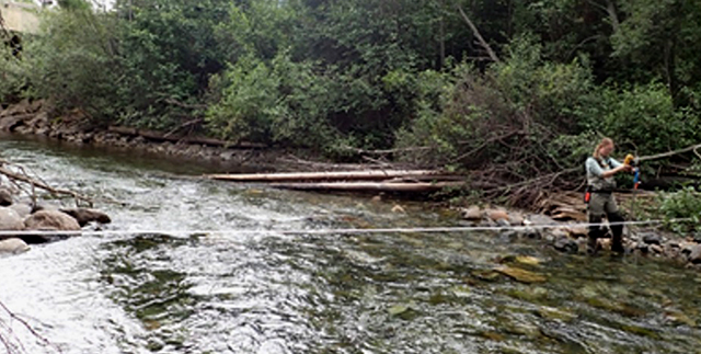Temperature loggers monitor cold-water fish habitat